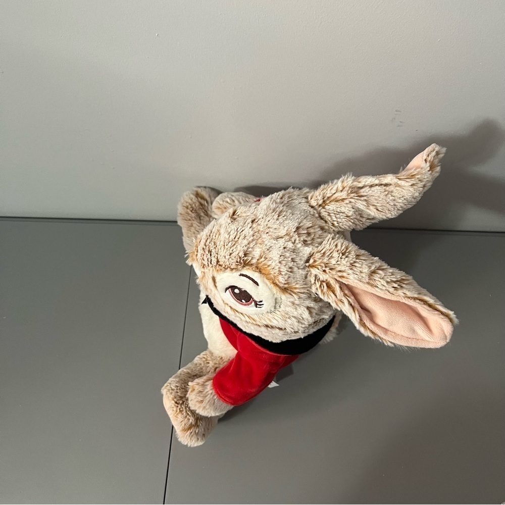 3/25$(Mix) Peter Rabbit With Red Jacket 16” - Picture 5 of 11